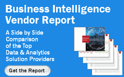Download Link to Business Intelligence & Data Analytics Matrix Report