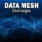 Data Mesh Challenges
